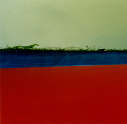 argentic photographs<br>edition of 5<br>50,5 x 50,5 cm<br>2001, 2002.